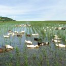 노동오리농장 이미지