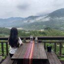 도시고양이생존연구소