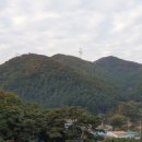 양지천 마평동 이미지