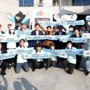 전라북도청 야외공연장 이미지