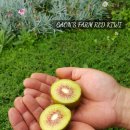 가온농장 이미지