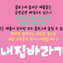 정안부동산중개 이미지