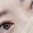 래쉬코드(LASH CODE)