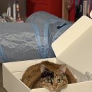 열린탑학원 | 통번역대학원 전체 오리엔테이션에 다녀오다