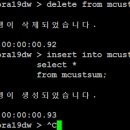 Re: 오늘의 마지막 문제1. mcustsum 을 이용해서 direct load insert 를 했을때와 안했을.... 이미지