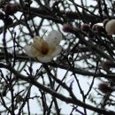 퇴계우체국 이미지