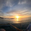 6023 | 세부 오슬롭 고래상어 + 모알보알 거북이 + 투말록 폭포 풀코스 후기