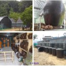 등고개농장 이미지