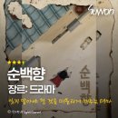 수원-1048 | 수원 영통 방탈출 <순백향> 정보, 3인 플레이 후기, 골든타임 이스케이프