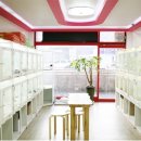 하나애견샵 이미지