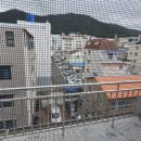 화이트텔 이미지