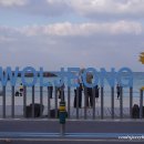 오류동 맞이방 편의점 | 2511 제주 1일: 월정리해변 산책, 목화휴게소 준치구이, 봉기네깡통구이 흑돼지 구이, 코업시티호텔...