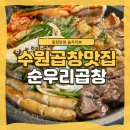 수원-1310 | 수원곱창맛집 [ 순우리곱창 본점 ] 겉바속쫀 여기 알곱창 진짜 미쳤어요..ㅜ 오픈런 후기