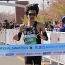 군산월명종합경기장주경기장 이미지