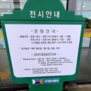 수석연합회 회원전 | 대구문화예술회관 2024대구사진비엔날레신진작가 특별전 NEW STREAM 뉴스트림