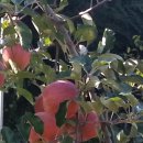 최정현농장 이미지