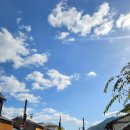 돼지 BAR 이미지