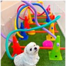 부산애견호텔 애견유치원 맘바이 부산북구점 이미지