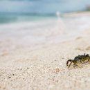 우도푸른바다민박 이미지