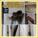 e편한세상 동해 | 삼척이편한세상 방충망 교체 후기｜샷시 모헤어 교체 + 블랙스텐 미세방충망 시공 (강릉바른방충망)