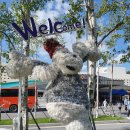 불꽃실비식당 이미지