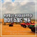 사구어촌체험마을(송지면 사구마을) | 무이네 지프 사막투어 코스 1st : 화이트샌듄 &amp; 레드샌듄