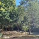 송원목장 이미지