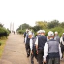 백마상회 이미지