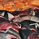 도선장유통 이미지