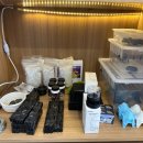 골든햄스터 분양 탬펫 충남아산점 이미지