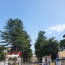 석사초등학교 이미지