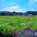 청솔농원 이미지