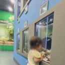 경남 고성 아이와 함께 가볼만한곳 실내 물고기 체험 생태학습관과 곤충 잡기 체험
