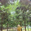 9월27일(수) 뚝섬 한강공원 트레킹!(공지 취소) 이미지