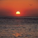 맑은소리 한의원 이미지