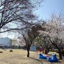 세종시청후문 잔디광장 | 서울야외도서관 2025 운영일정 시간 : 서울시청광장 광화문 책마당 청계천 책읽는 맑은냇가 야외도서관...