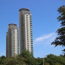 강남-228 이미지