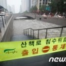 서울시, '물고기 떼죽음' 청계천 보수에 39억 투입 이미지