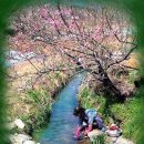 우물가빨래터 이미지