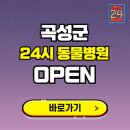 곡성-081 티스토리