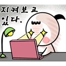 곰비디오 이미지