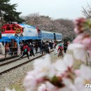 진해구 ⓒ-20 이미지