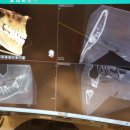 우리편한치과의원 이미지