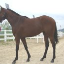 경기도축산진흥센터 이미지