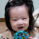 아이나무어린이집 네이버블로그