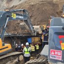 울릉이당 이미지