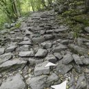 국립유명산자연휴양림 이미지