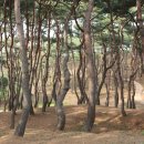 하남사진작가협회 회원전 이미지