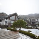 푸른 이미지