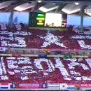 노독일처 이미지